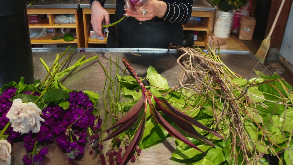 VJ Plant Shop: ASMR