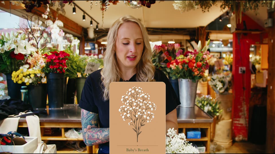 VJ Plant Shop: Hot Takes